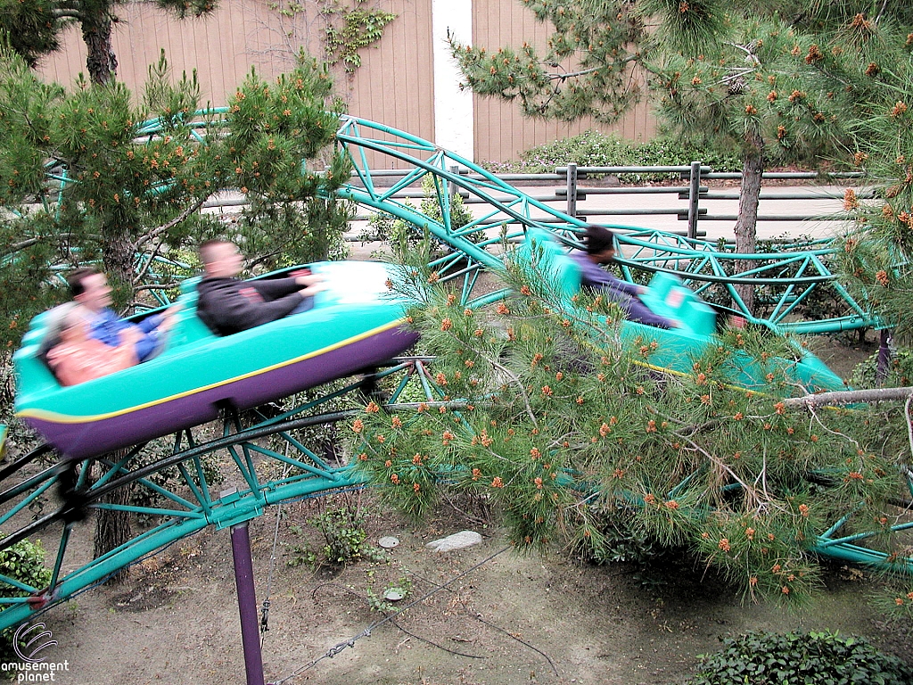 Timberline Twister
