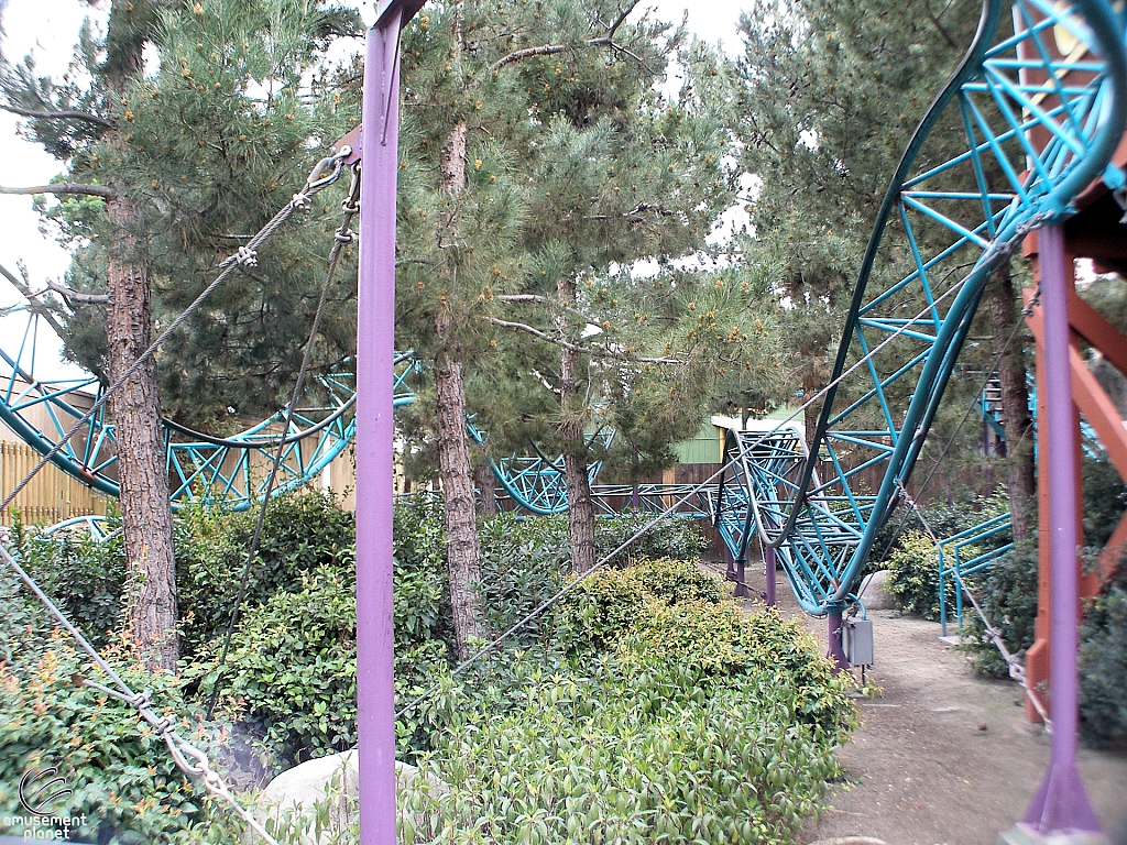 Timberline Twister