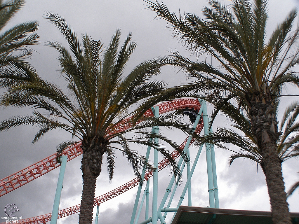 Xcelerator