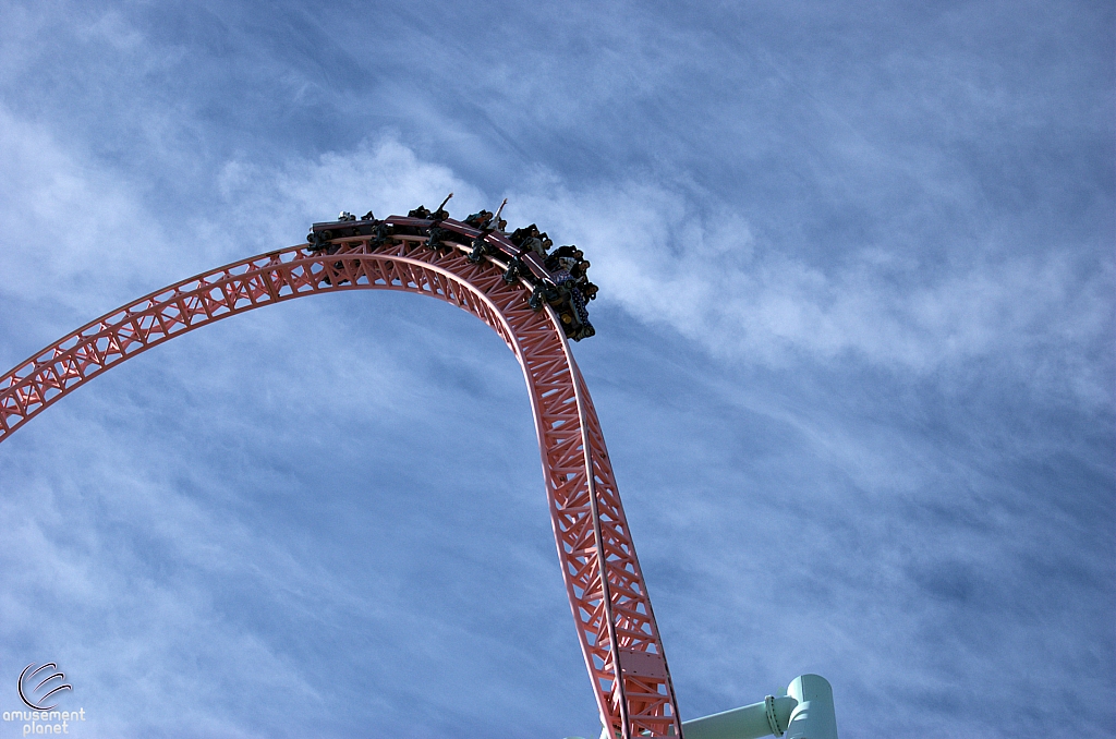 Xcelerator