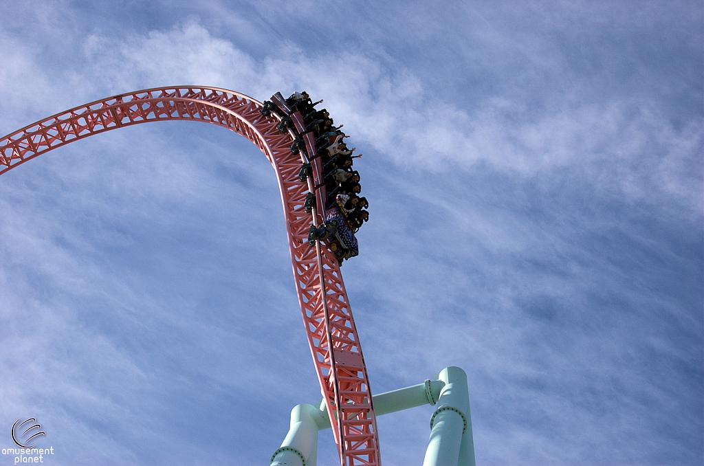 Xcelerator