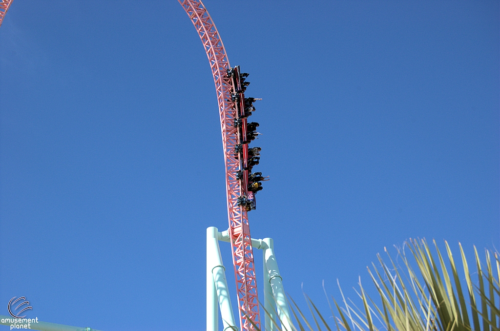 Xcelerator