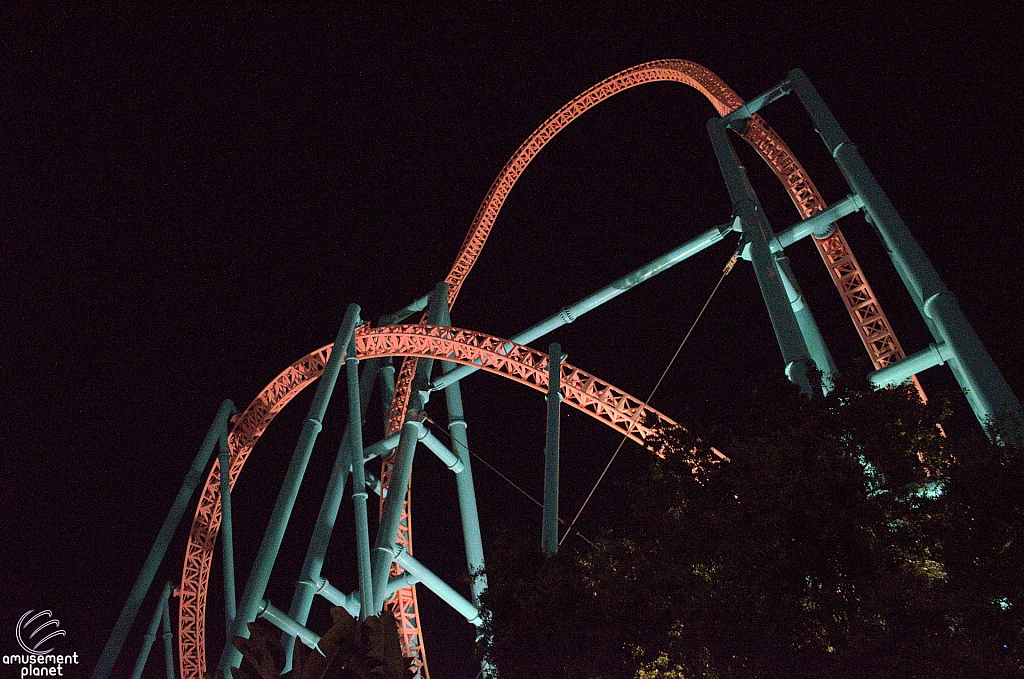 Xcelerator