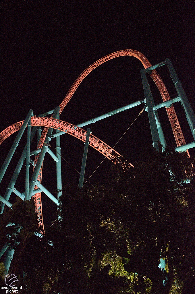 Xcelerator