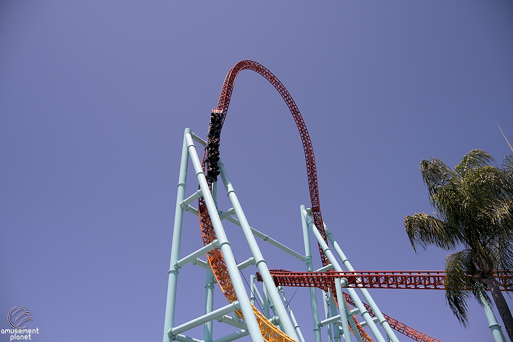 Xcelerator
