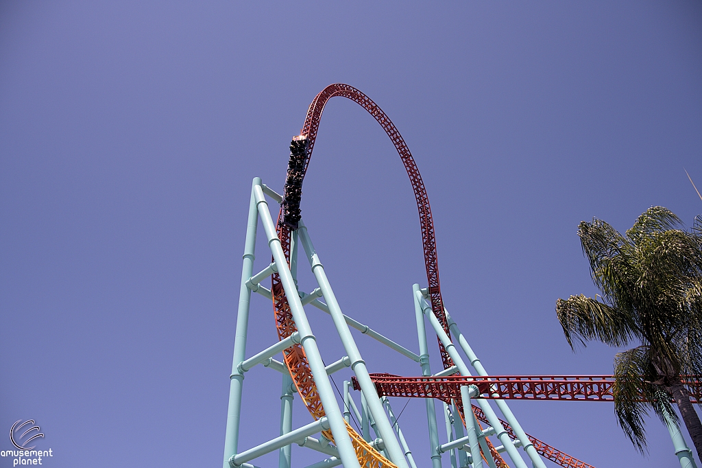 Xcelerator