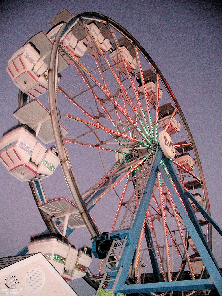 Century Wheel