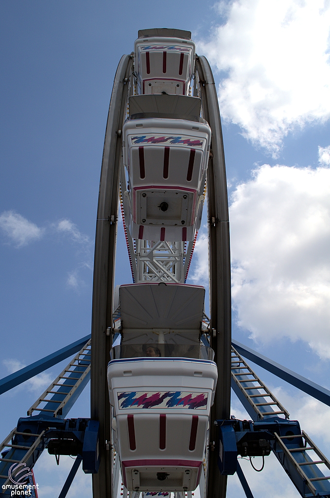 Century Wheel