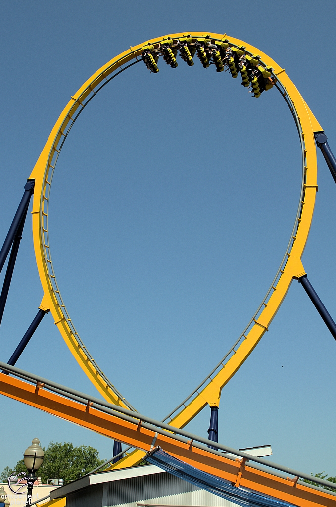 Dominator