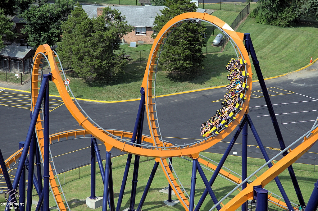 Dominator