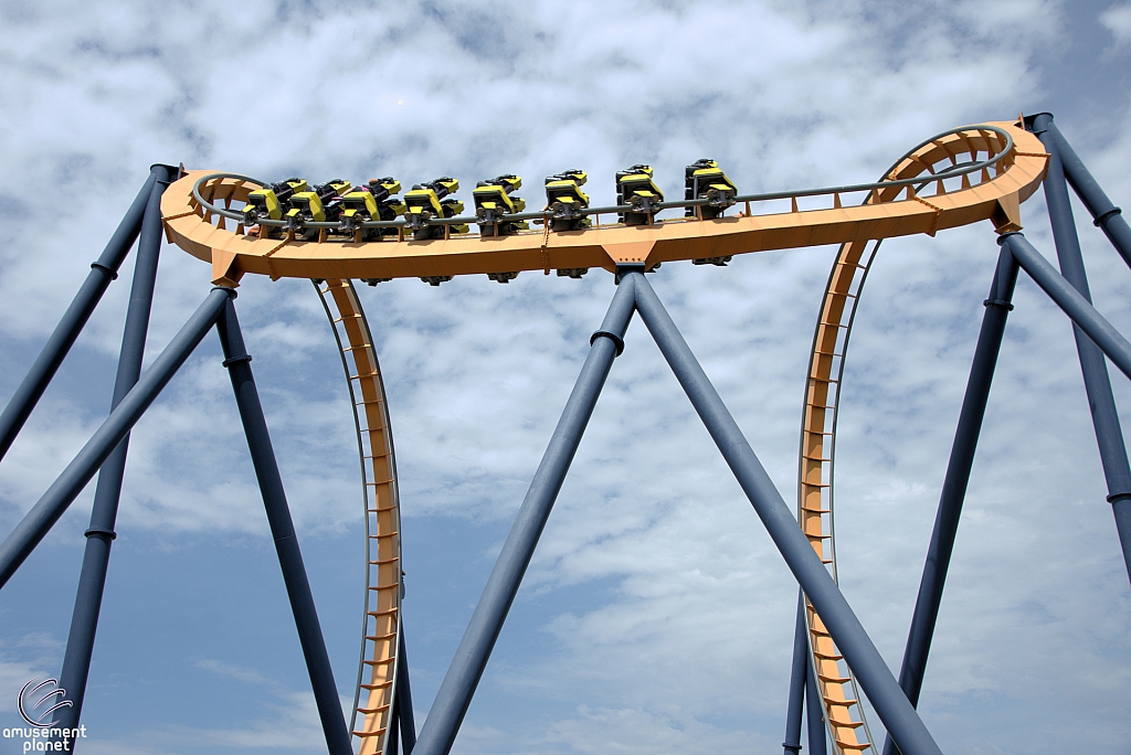 Dominator