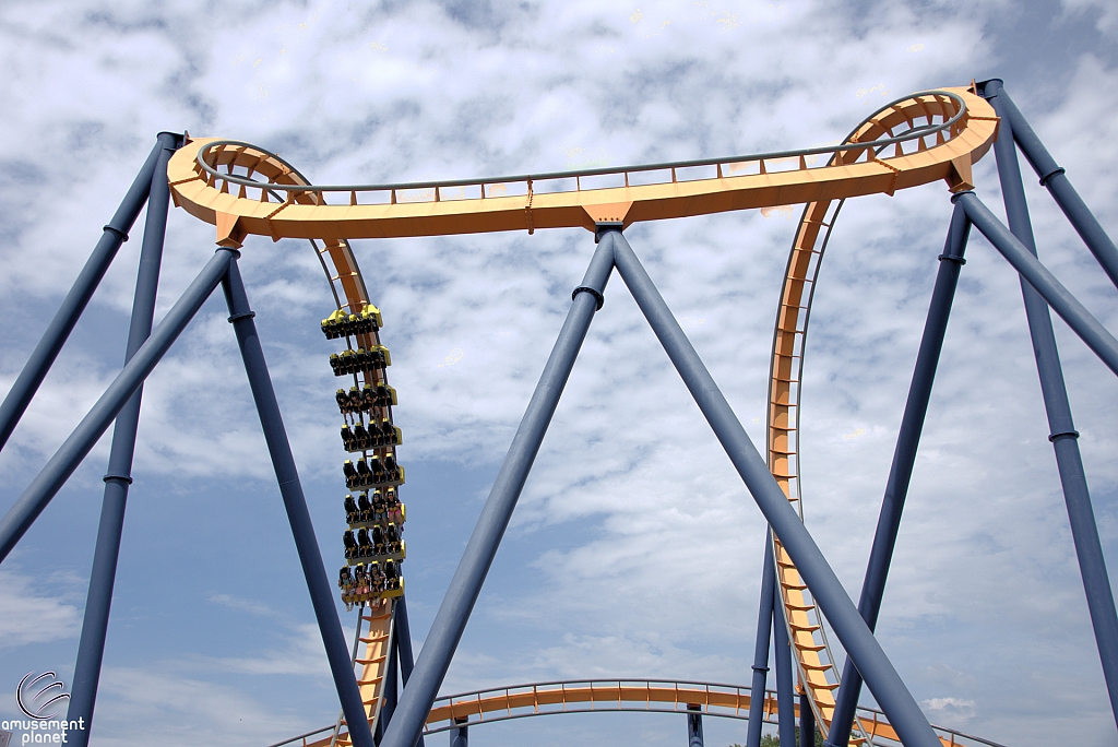 Dominator