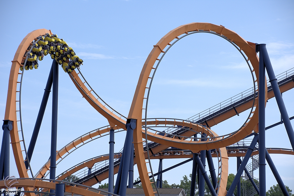 Dominator
