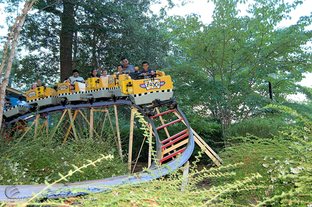 Great Pumpkin Coaster