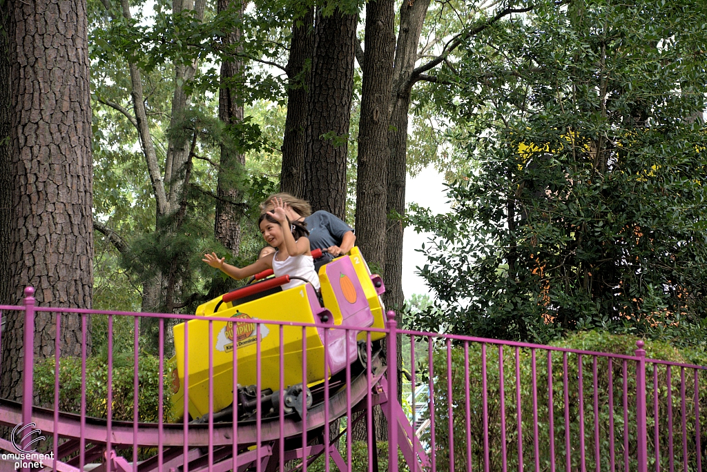 Great Pumpkin Coaster