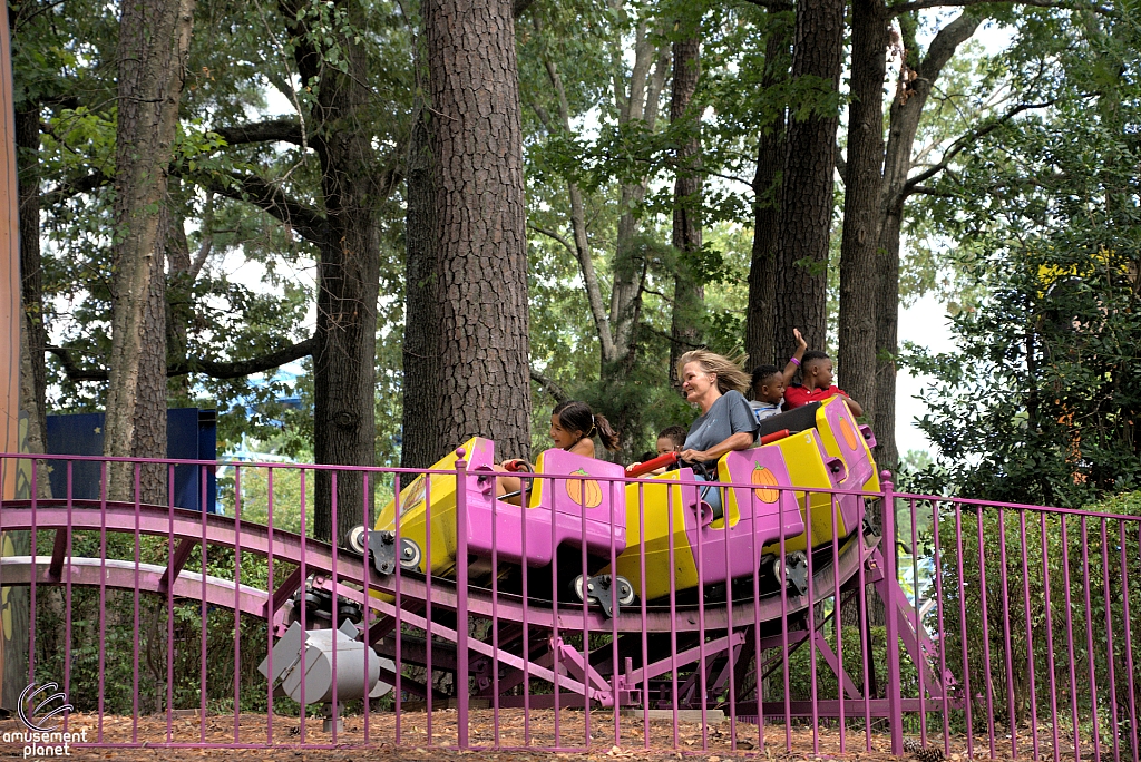 Great Pumpkin Coaster