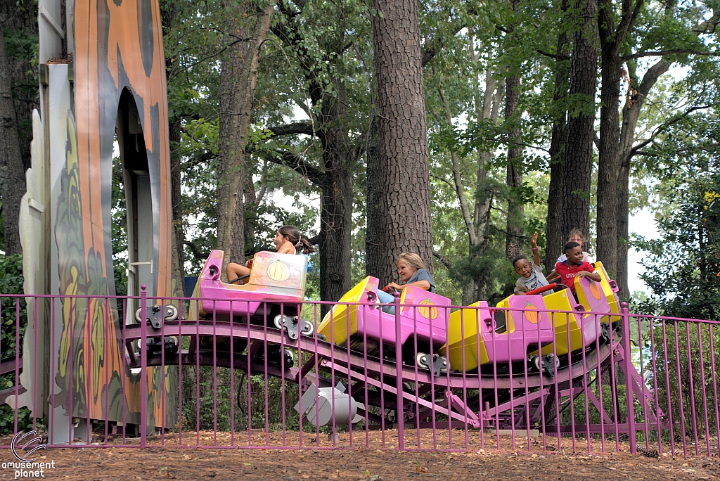 Great Pumpkin Coaster