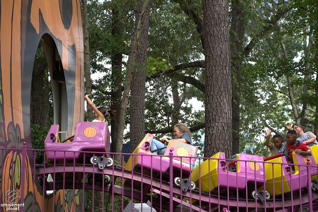 Great Pumpkin Coaster