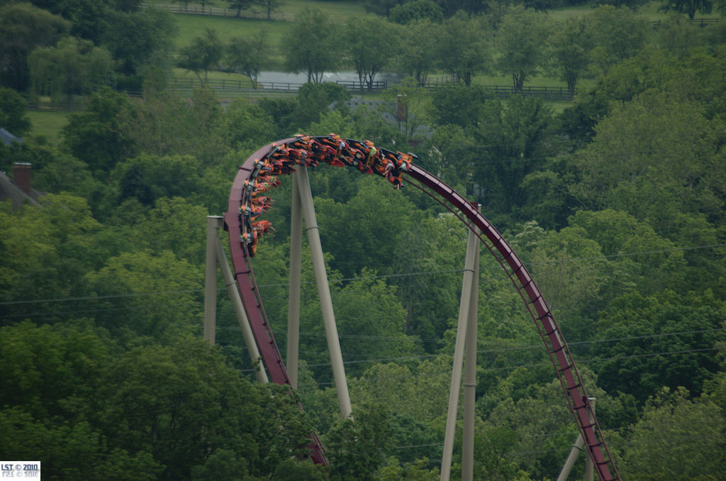 Diamondback