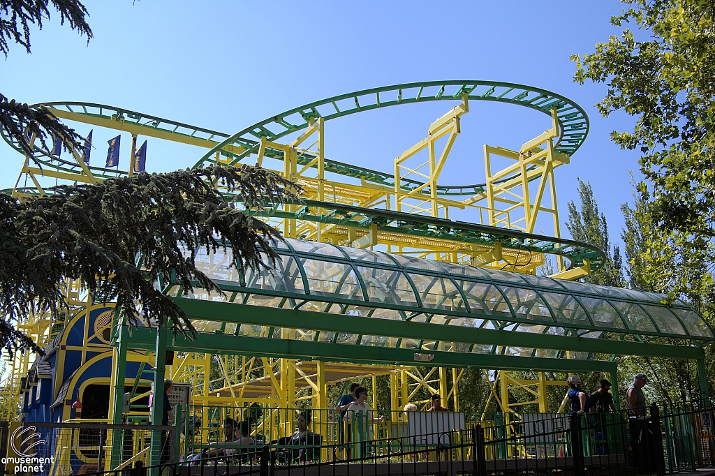 Wild Mouse