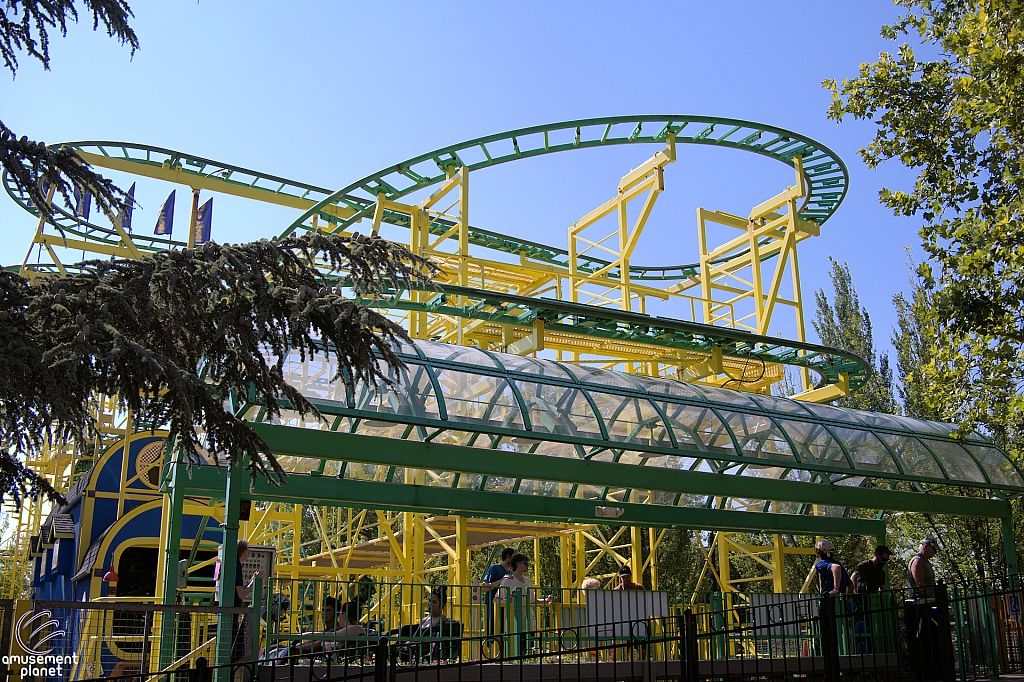 Wild Mouse