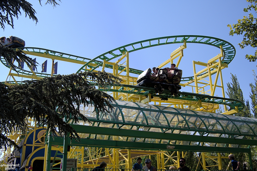 Wild Mouse