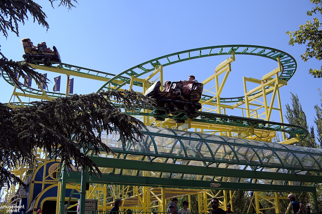Wild Mouse