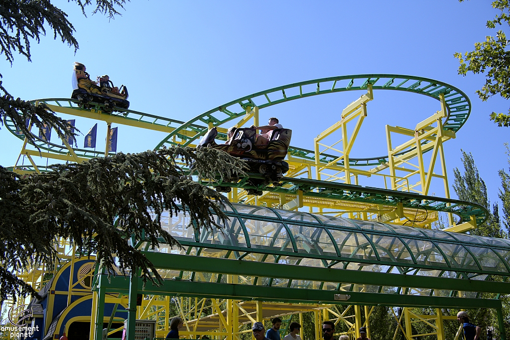 Wild Mouse