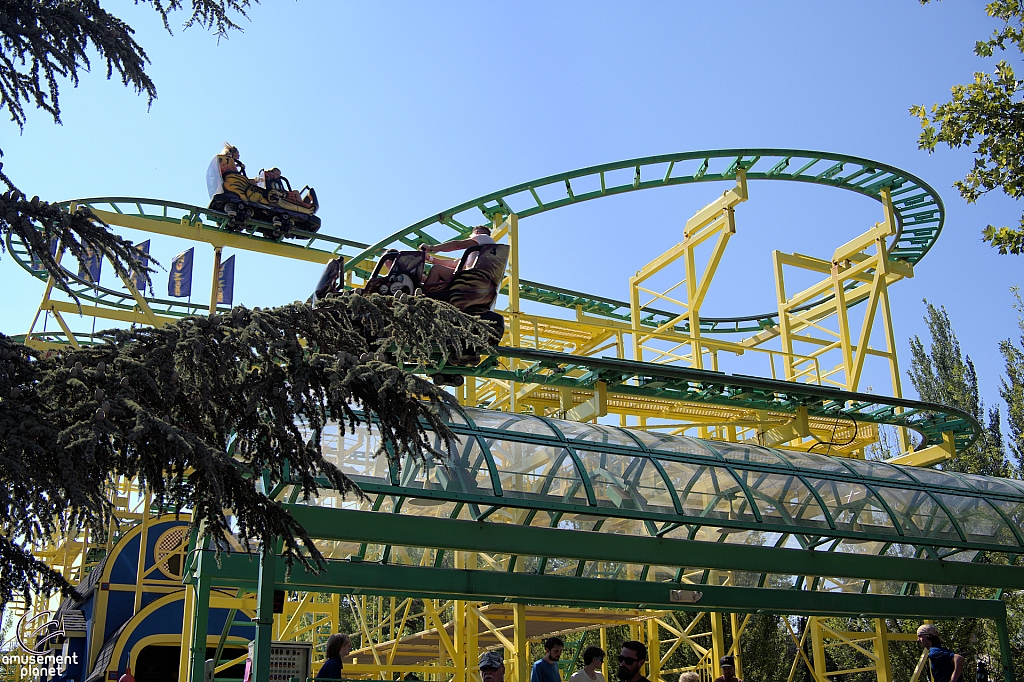 Wild Mouse