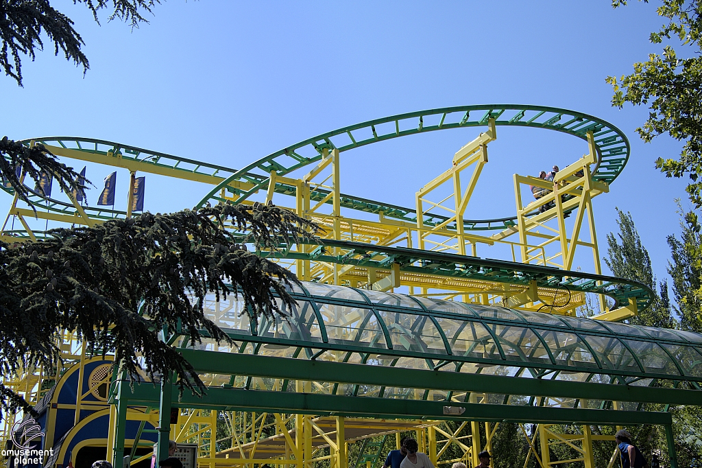 Wild Mouse