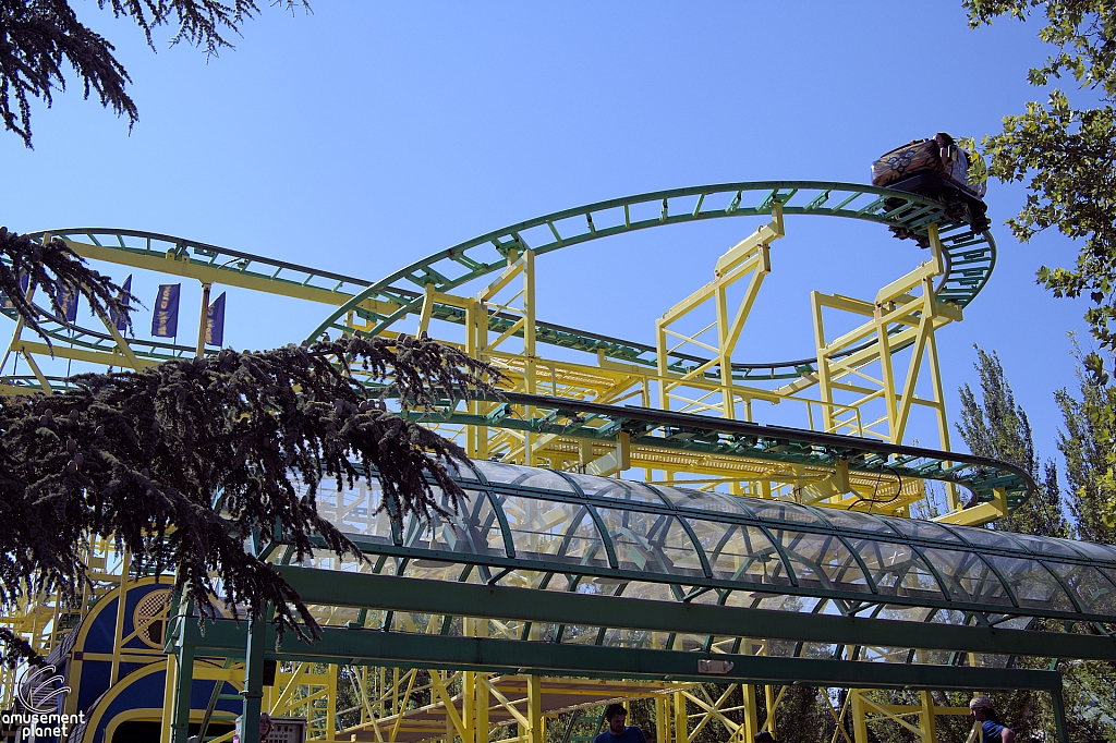 Wild Mouse