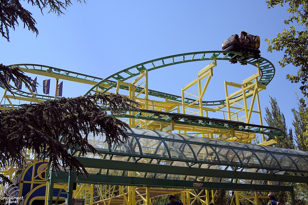 Wild Mouse