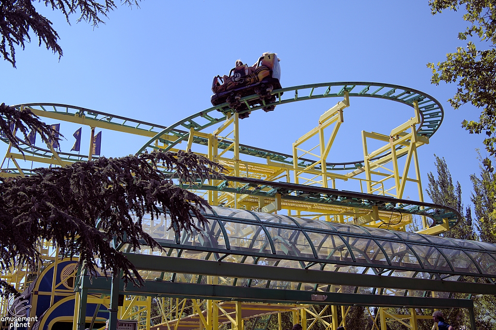 Wild Mouse