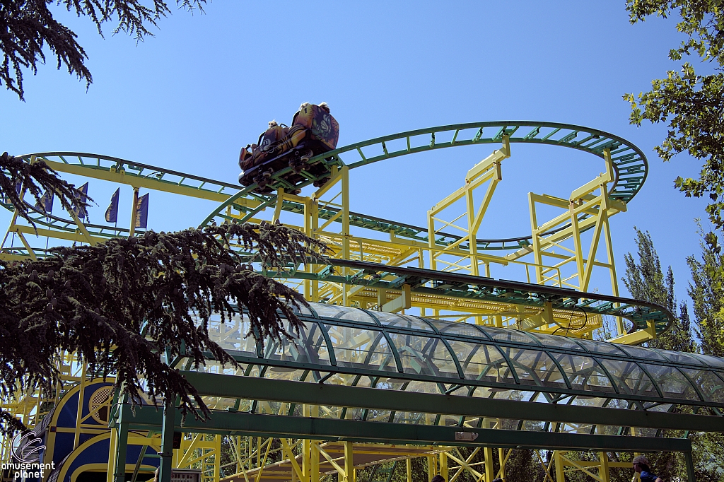 Wild Mouse