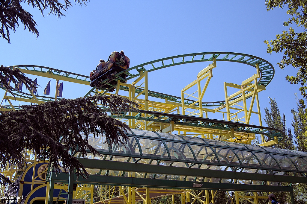 Wild Mouse