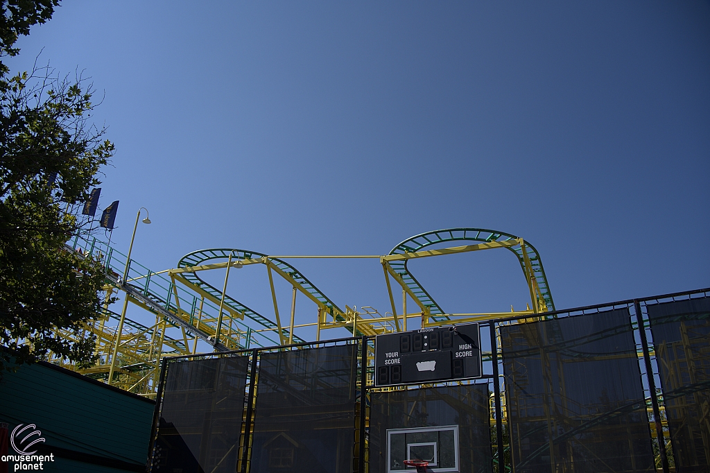 Wild Mouse
