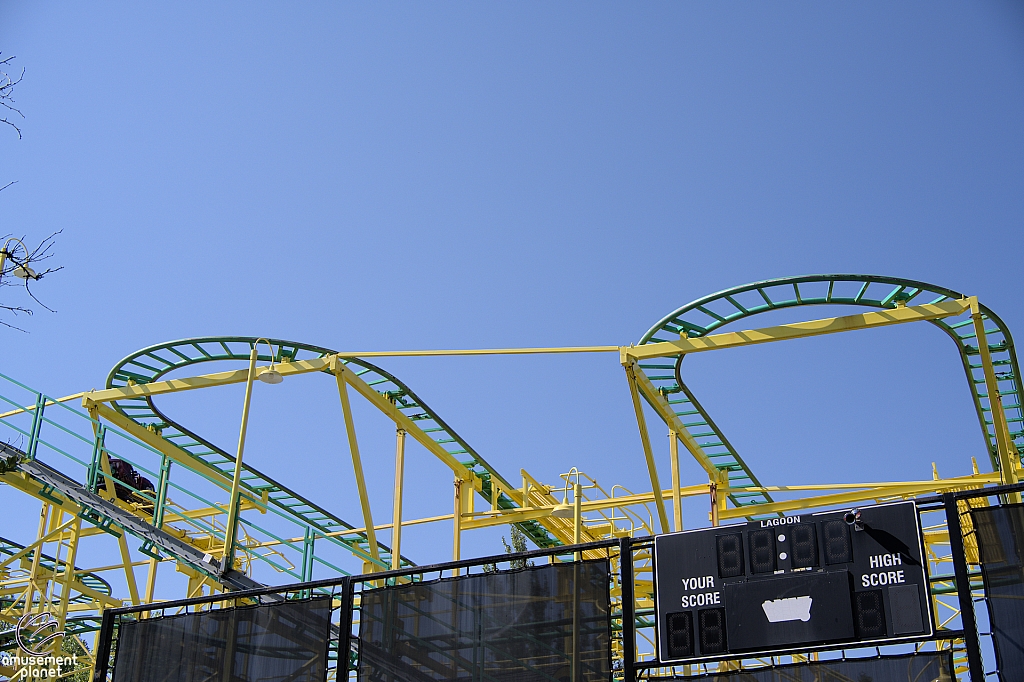 Wild Mouse