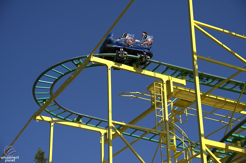 Wild Mouse