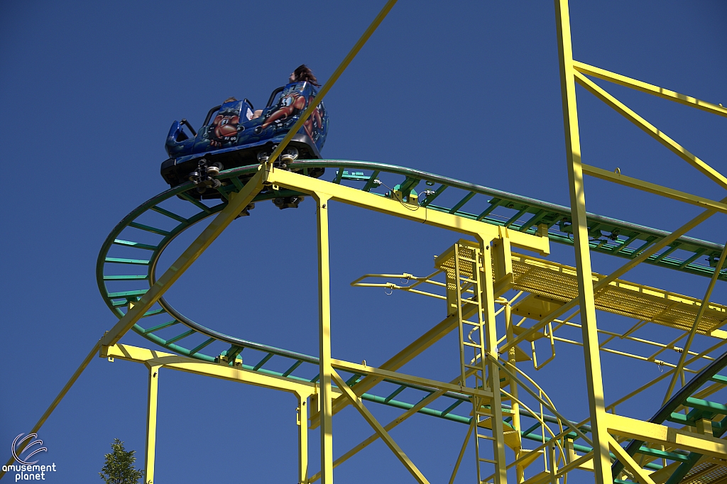 Wild Mouse