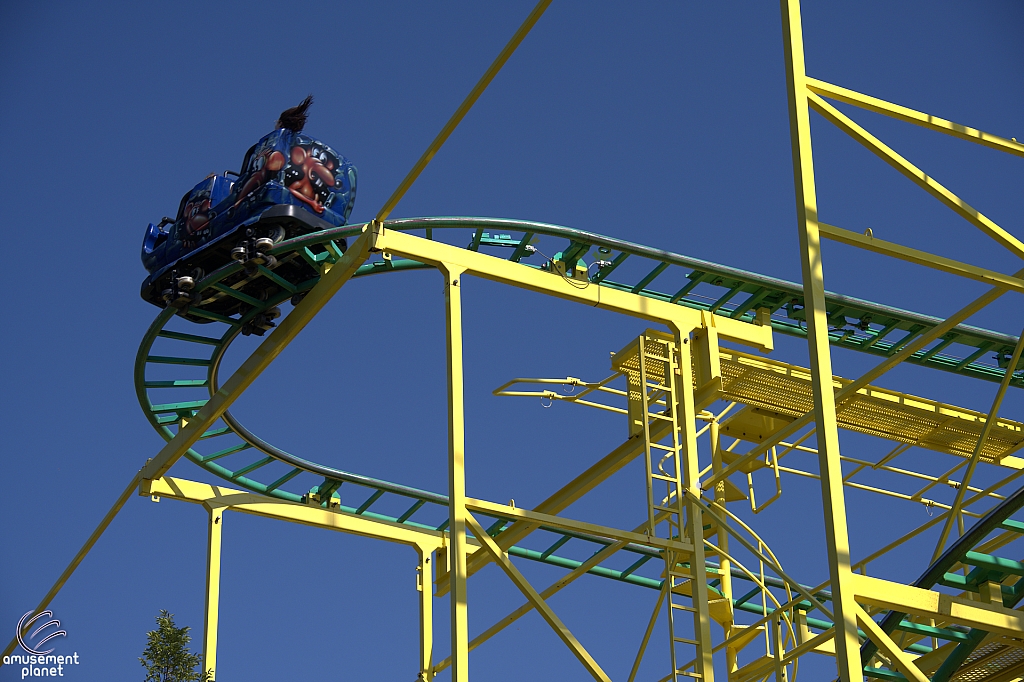 Wild Mouse