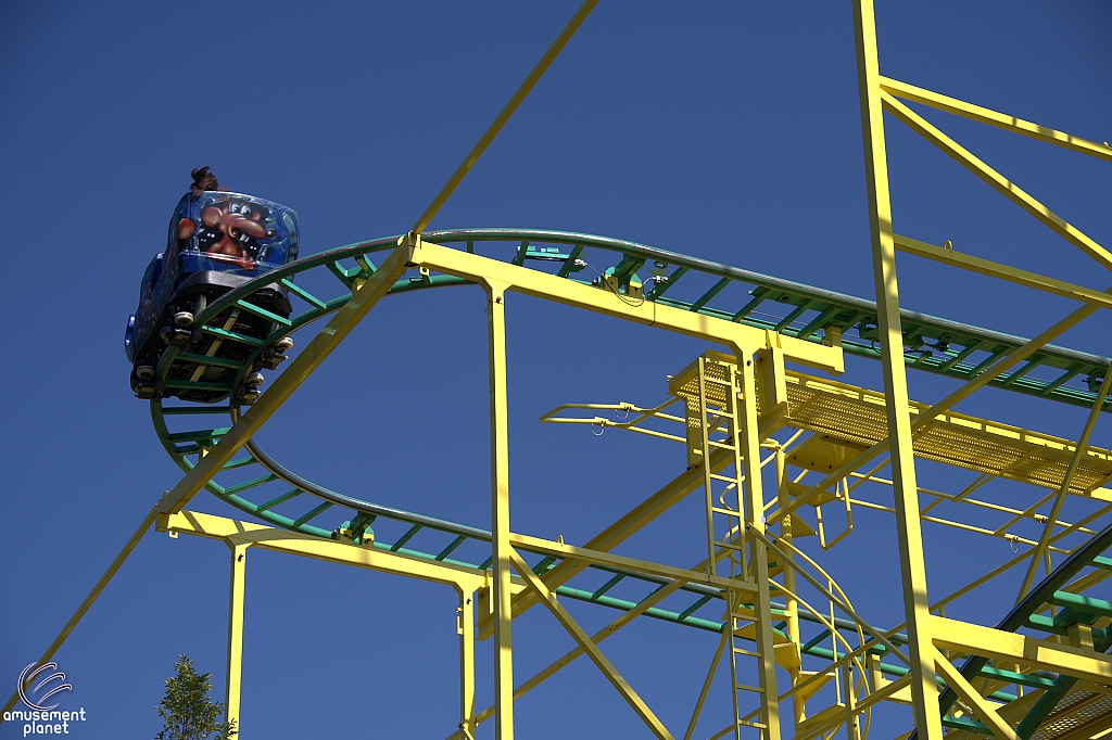 Wild Mouse