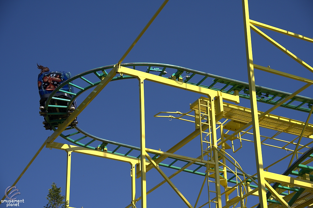 Wild Mouse