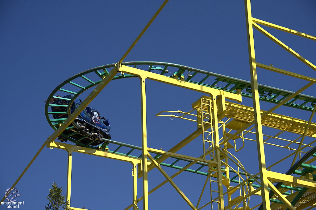Wild Mouse