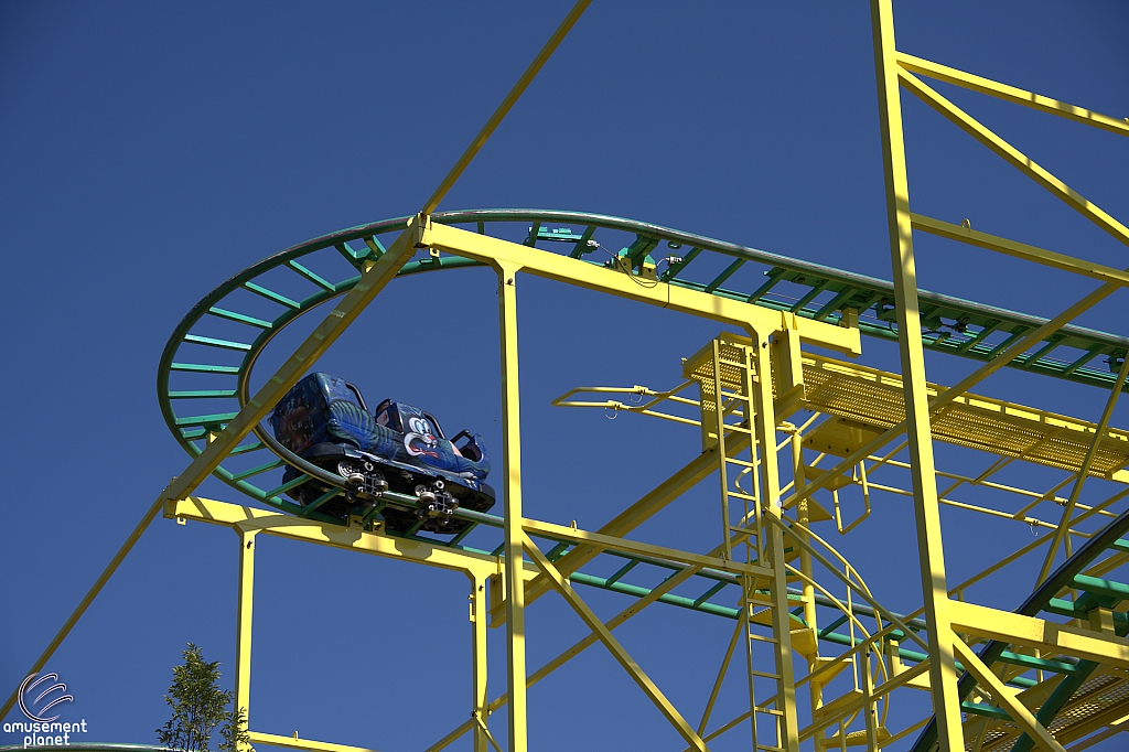 Wild Mouse