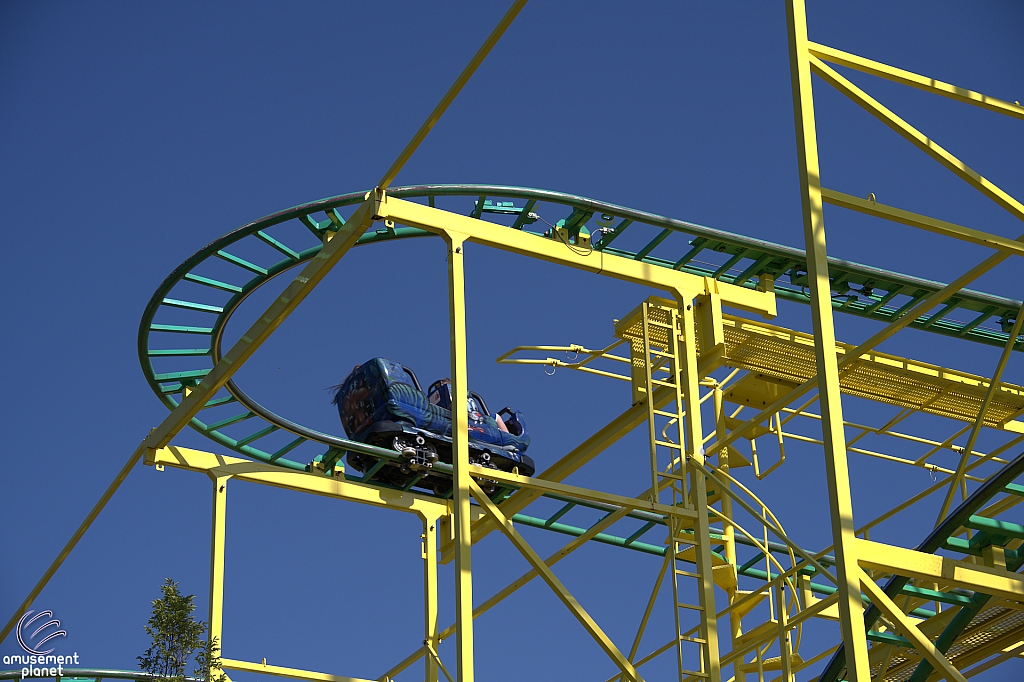 Wild Mouse