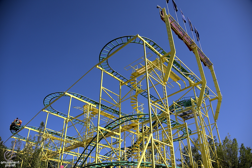 Wild Mouse