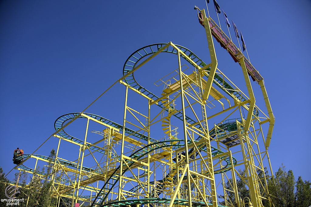 Wild Mouse