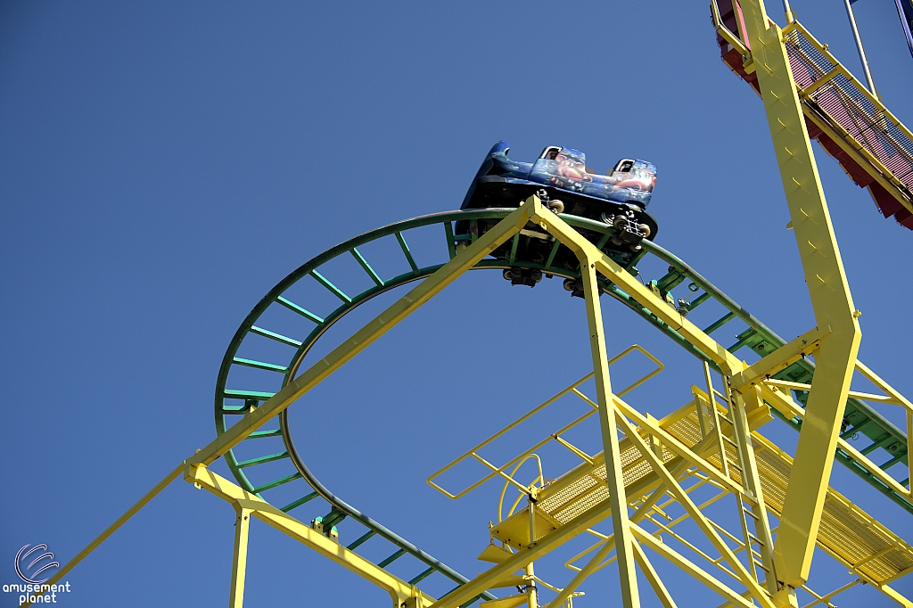 Wild Mouse