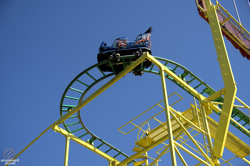 Wild Mouse