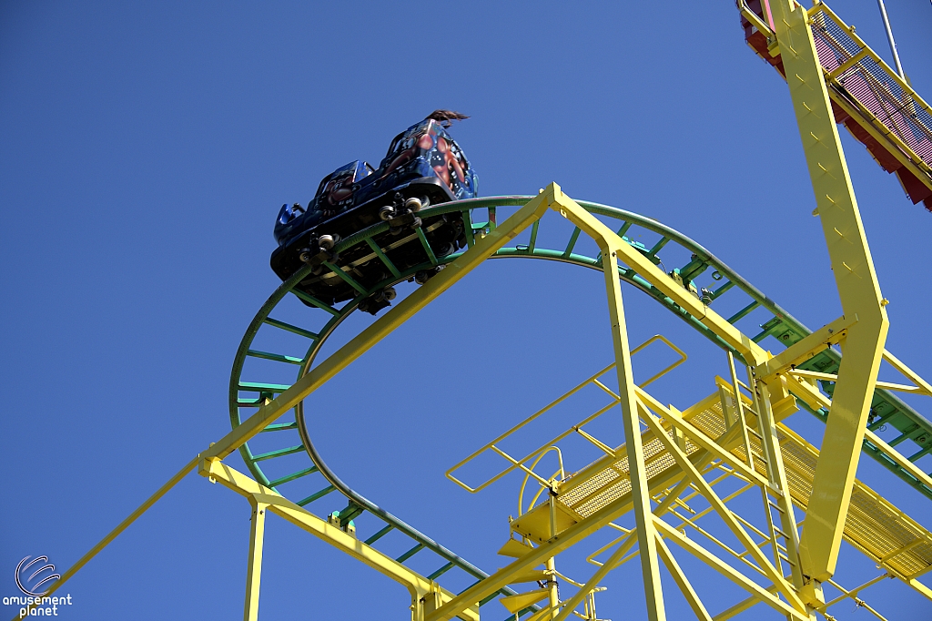 Wild Mouse